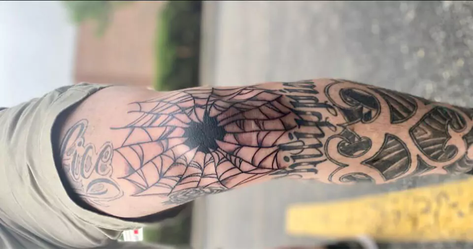 Elbow Spider Web Meaning